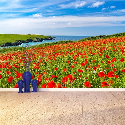 Fotobehang Poppy veld