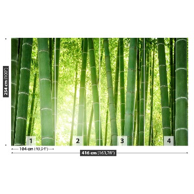 Fotobehang Bamboo bos