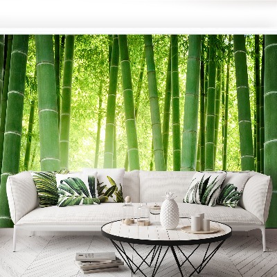 Fotobehang Bamboo bos