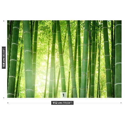 Fotobehang Bamboo bos