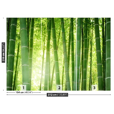 Fotobehang Bamboo bos