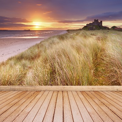 Fotobehang Duinen