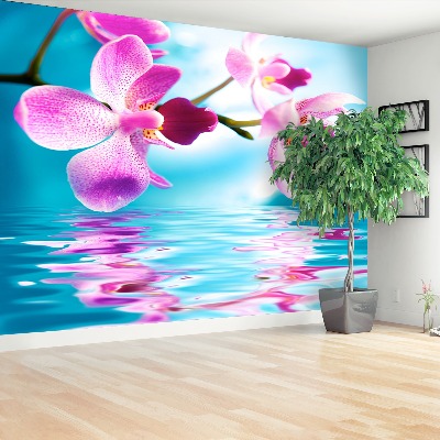 Zelfklevend fotobehang Orchideewater