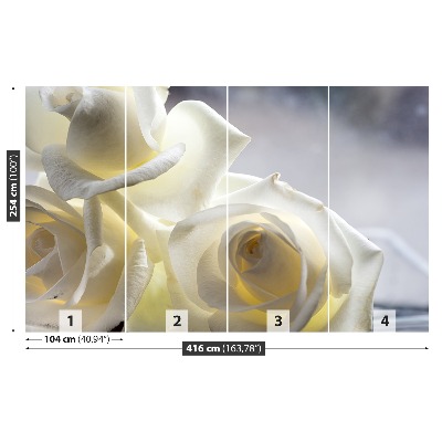 Zelfklevend fotobehang Witte rozen