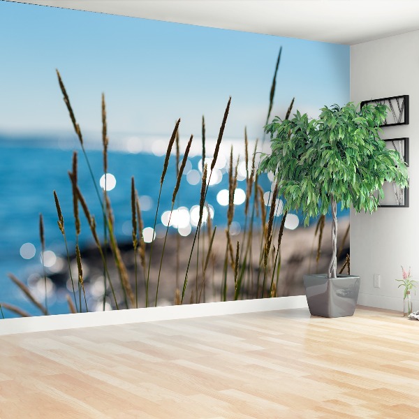 Zelfklevend fotobehang Rietwater