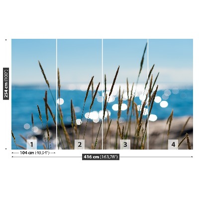 Zelfklevend fotobehang Rietwater
