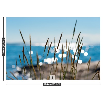 Zelfklevend fotobehang Rietwater