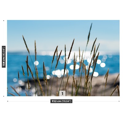 Zelfklevend fotobehang Rietwater