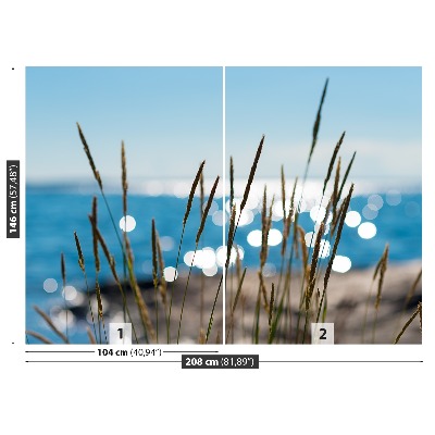 Zelfklevend fotobehang Rietwater