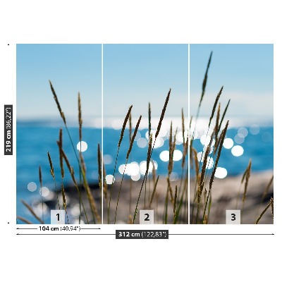 Zelfklevend fotobehang Rietwater