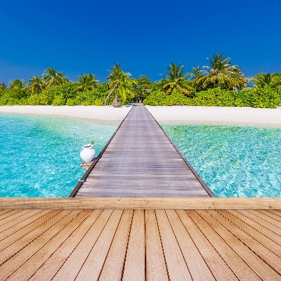 Fotobehang Strandpalm