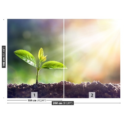 Zelfklevend fotobehang Groene spruit