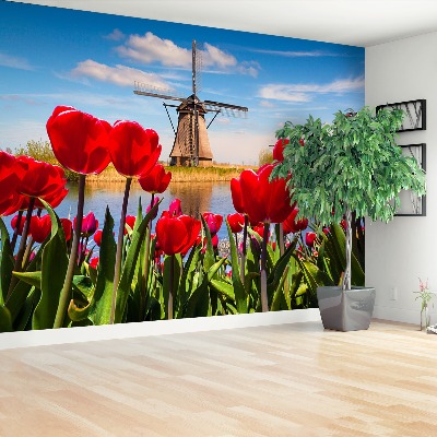 Fotobehang Nederland windmolens