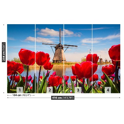 Fotobehang Nederland windmolens