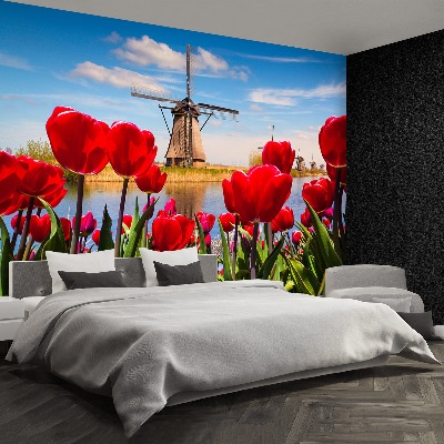 Fotobehang Nederland windmolens