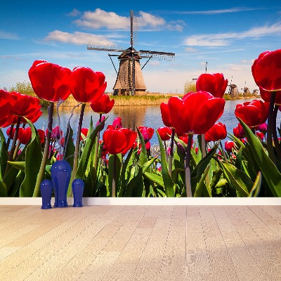 Fotobehang Nederland windmolens