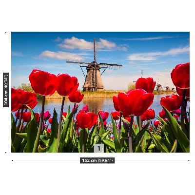 Fotobehang Nederland windmolens