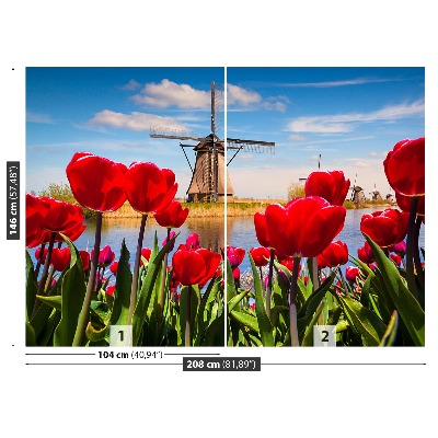 Fotobehang Nederland windmolens