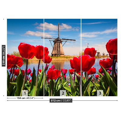 Fotobehang Nederland windmolens