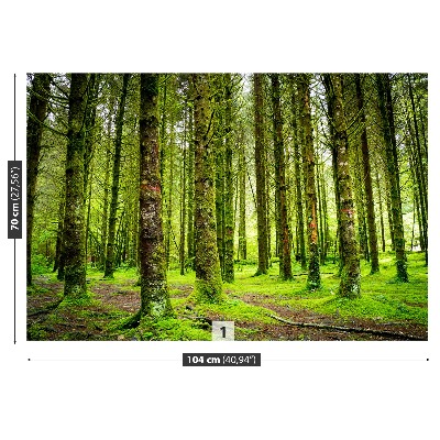 Zelfklevend fotobehang Bomen