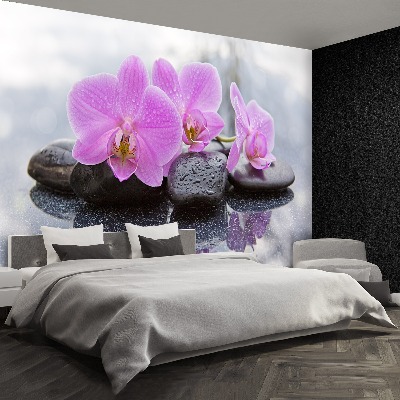 Zelfklevend fotobehang Orchideeënstenen