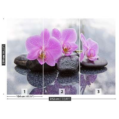 Zelfklevend fotobehang Orchideeënstenen