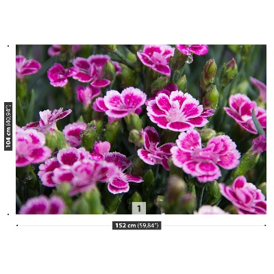 Zelfklevend fotobehang Roze bloemen