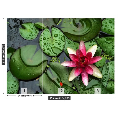 Zelfklevend fotobehang Lotusbloemvijver