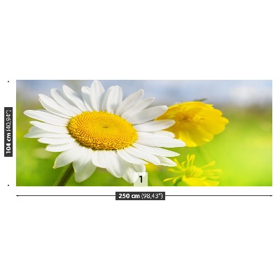 Zelfklevend fotobehang Kamille bloemen
