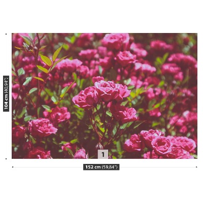 Zelfklevend fotobehang Roze rozen