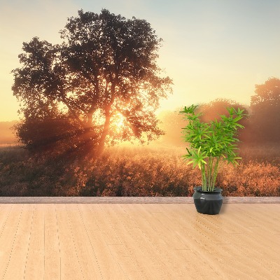 Zelfklevend fotobehang Zonneboom