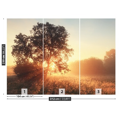 Zelfklevend fotobehang Zonneboom