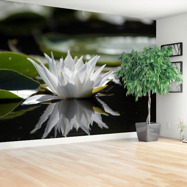 Zelfklevend fotobehang Witte lotus