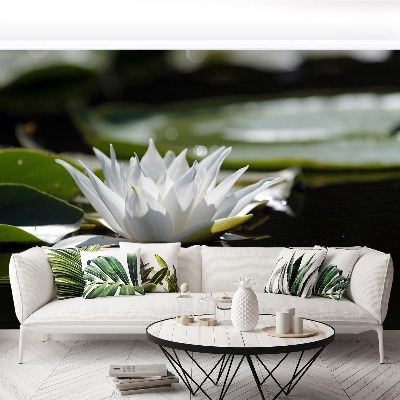 Zelfklevend fotobehang Witte lotus