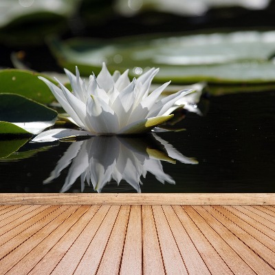 Zelfklevend fotobehang Witte lotus
