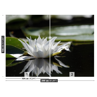 Zelfklevend fotobehang Witte lotus