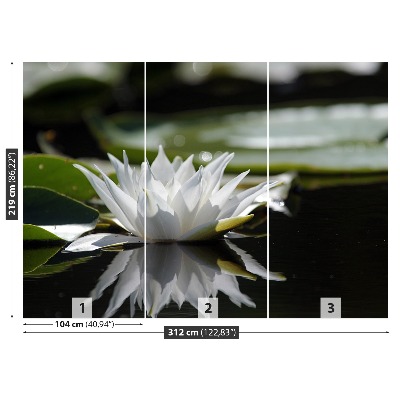 Zelfklevend fotobehang Witte lotus