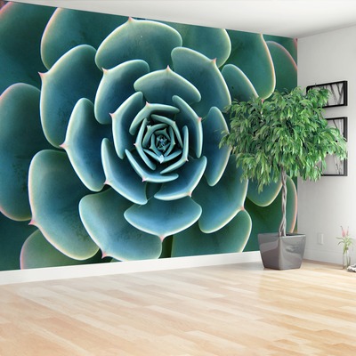 Zelfklevend fotobehang Aloë groen