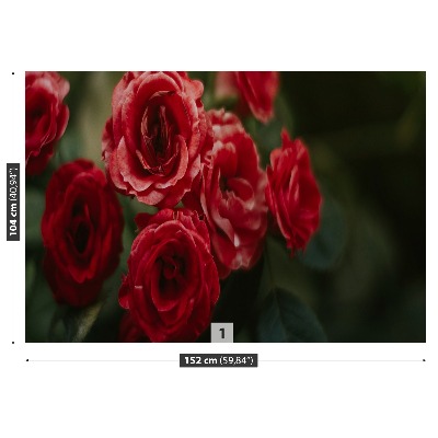 Zelfklevend fotobehang Vintage rozen
