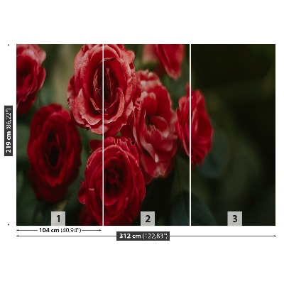 Zelfklevend fotobehang Vintage rozen