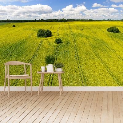 Zelfklevend fotobehang Verkrachting veld