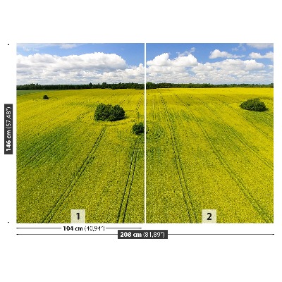 Zelfklevend fotobehang Verkrachting veld