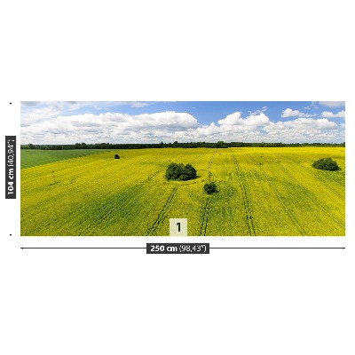 Zelfklevend fotobehang Verkrachting veld