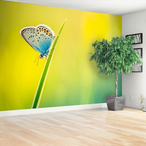 Zelfklevend fotobehang Vlinder