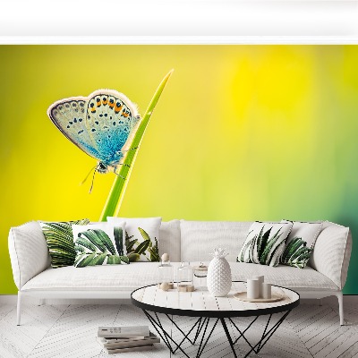Zelfklevend fotobehang Vlinder