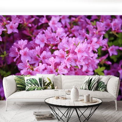 Fotobehang Rhododendron roze