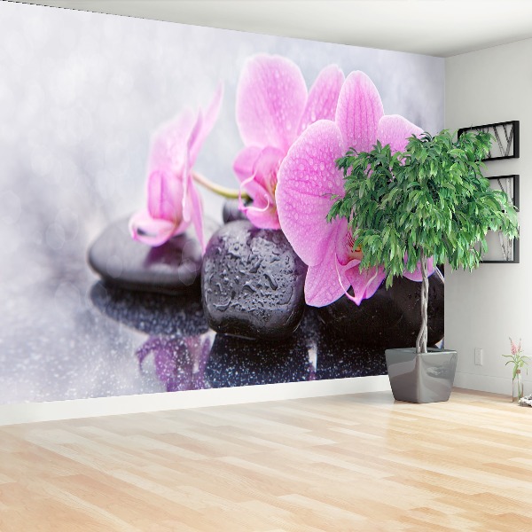 Fotobehang Orchideeënstenen