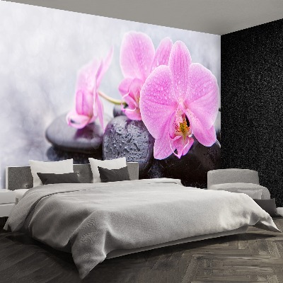 Fotobehang Orchideeënstenen