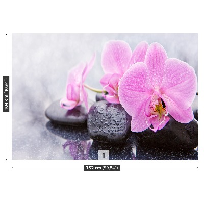 Fotobehang Orchideeënstenen