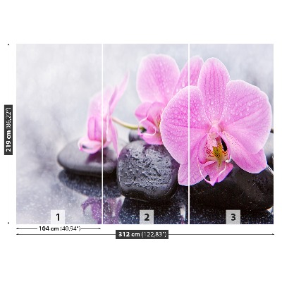 Fotobehang Orchideeënstenen